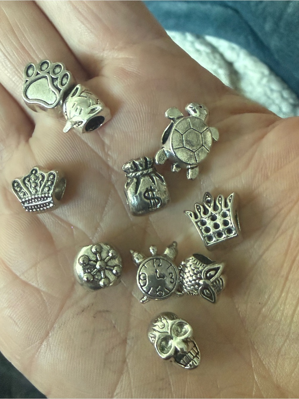 Silver-Tone Small Pet Charms Assortment - Silver tone